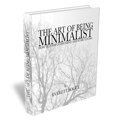 The Minimalist Guy